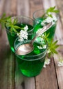 Gelatin dessert with woodruff Royalty Free Stock Photo