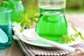 Gelatin dessert with woodruff Royalty Free Stock Photo