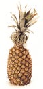 Gelbe Ananas mit weissem hintergrund Royalty Free Stock Photo