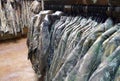 Gellco Outdoors retail store camouflage clothing