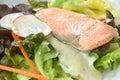 gelled salmon with mixed vegetable salad dressing spicy and sour seafood cream sauce on plate Royalty Free Stock Photo