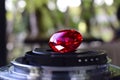 Gem and Jewelry Real ruby Red with a rare luster, expensive