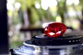 Gem and Jewelry Real ruby Red with a rare luster, expensive