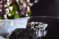 Gem and Jewelry Is a white gold ring Set with diamonds  The beautiful It is a luxurious and expensive Royalty Free Stock Photo