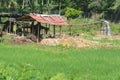 Gem mining at Ratnapura Royalty Free Stock Photo