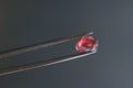 Gem quality garnet crystal, type almandine Royalty Free Stock Photo