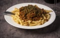 Gemelli Pasta with turkey ground meat