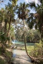 Gemini Springs park in Florida