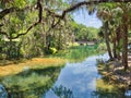 Gemini Springs in Volusia County, Florida Royalty Free Stock Photo