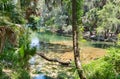 Gemini Springs in Volusia County, Florida Royalty Free Stock Photo