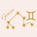 Gemini vector illustration Royalty Free Stock Photo