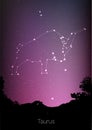 Gemini zodiac constellations sign with forest landscape silhouette on beautiful starry sky with galaxy and space behind