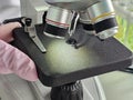 Gemology microscope and gemstones in the laboratory. The science of gemstones concept Royalty Free Stock Photo