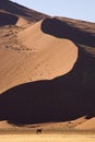 Gemsbok - Namib desert - Sossusvlei - Namibia