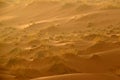 Gemsbok with orange sand dune evening sunset. Gemsbuck, Oryx gazella, large antelope in nature habitat, Sossusvlei, Namibia. Wild