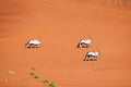 Namib-Naukluft National Park, Namibia, Africa Royalty Free Stock Photo