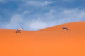 Namib-Naukluft National Park, Namibia, Africa Royalty Free Stock Photo