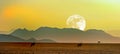 Panoramic view of the Namib Desert with silhouette of distant mountains and the moon