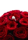 Beautiful white gold pearl ring and bouquet of red roses, luxury jewelry love gift on Valentines Day and romantic holidays Royalty Free Stock Photo