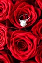 Beautiful white gold pearl ring and bouquet of red roses, luxury jewelry love gift on Valentines Day and romantic holidays Royalty Free Stock Photo