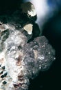 Gemstone Quartz closeup as a part of cluster geode filled with rock crystals.