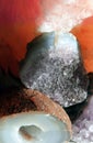Gemstone Quartz closeup as a part of cluster geode filled with rock crystals.