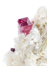 Gemstone red tourmaline rubellite Royalty Free Stock Photo