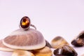 Gemstone ring gift concept. A cinnamon stone ring on seashell on white background