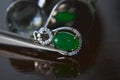 Gemstones jewelery Is a white gold pendant necklace. Set with diamonds and Green jade, rare, Royalty Free Stock Photo