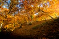 Genal Valley in autumn, MÃÂ¡laga Royalty Free Stock Photo