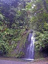 Gendarmen waterfall, Martinique Island, France Royalty Free Stock Photo