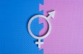 Gender equality concept. Silver gender equality symbol. Blue and pink puzzle Royalty Free Stock Photo