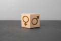 Gender equality and difference. conceptual image, a wooden cube of the mtr is a sign of the male and female gender. copy space