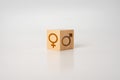 Gender equality and difference. conceptual image, a wooden cube of the mtr is a sign of the male and female gender. Male and