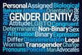 Gender Identity Word Cloud Royalty Free Stock Photo