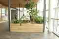 Gender neutral working space decorated with indoor plants