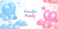 Gender Party invitation template vector illustration design