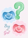 Gender party with pacifiers blue and pink