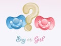 Gender party with pacifiers blue and pink