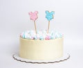 Gender reveal cake with marshmallow and gingerbread