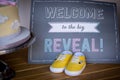 Gender reveal ideas for boys and girls