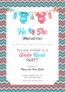 Gender reveal invitation template, baby shower party.