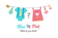 Gender reveal party, baby shower, boy or girl