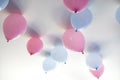 gender reveal party blue and pink balloons in living room on white wall definition of a boy or girl, gathering party party