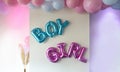 gender reveal party blue and pink balloons in living room on white wall definition of a boy or girl, gathering party party