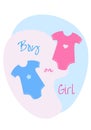 Gender reveal party. It`s a boy or girl. Happy pregnancy