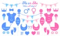 Gender reveal party set. Props for baby shower celebration. Boy or girl elements. Vector flat illustration for greeting cards