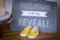 Gender reveal sign ideas for boys and girls