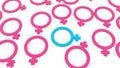 Gender sign concept in pink and blue Royalty Free Stock Photo