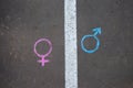 Gender symbol on asphalt, gender concept Royalty Free Stock Photo